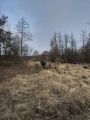 Zimowy biwak nad Liwcem, fot. Alicja Kasińska